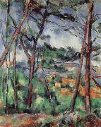 Paul Cezanne Lanscape near Aix-the Plain of the arc river oil painting on canvas